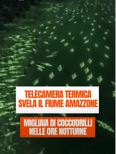 Questo video di coccodrilli ripresi con una videocamera notturna è creato con AI