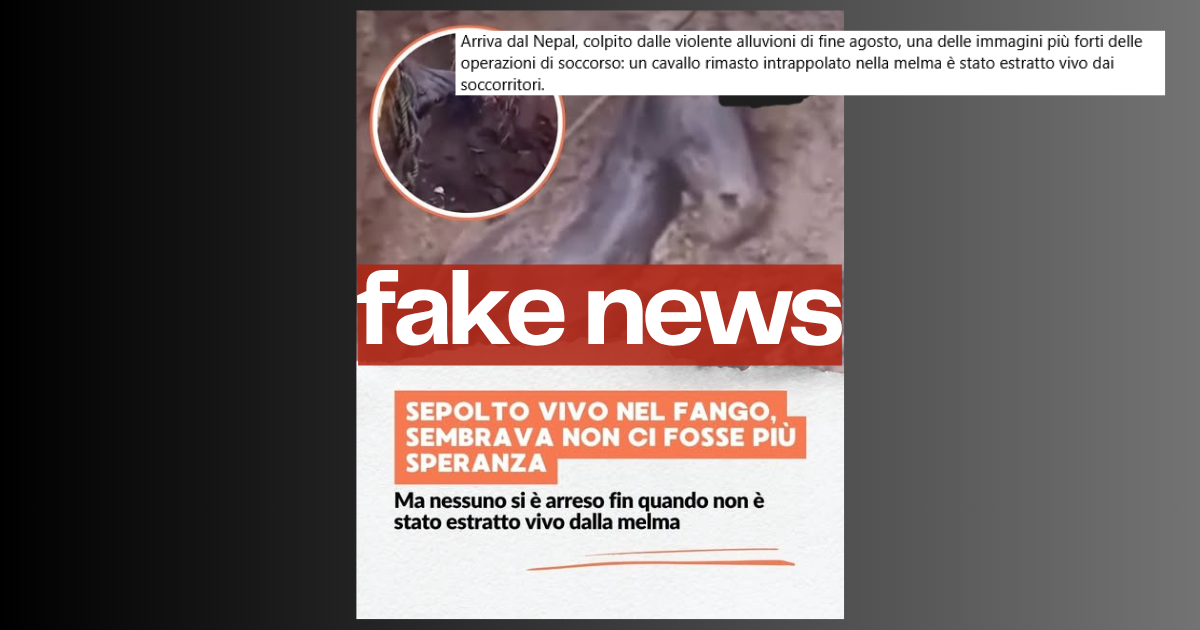 Questo video del cavallo salvato dall’alluvione in Nepal non è del Nepal