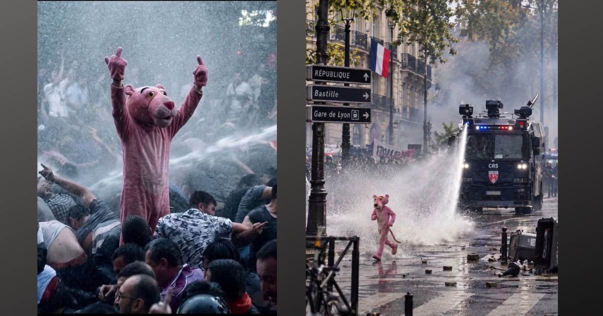 L'assurda saga della Pantera Rosa alle manifestazioni francesi