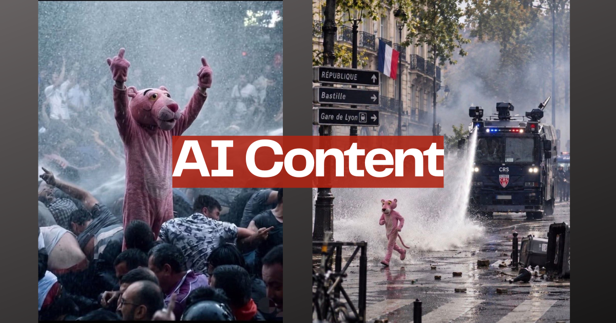 L’assurda saga della Pantera Rosa alle manifestazioni francesi